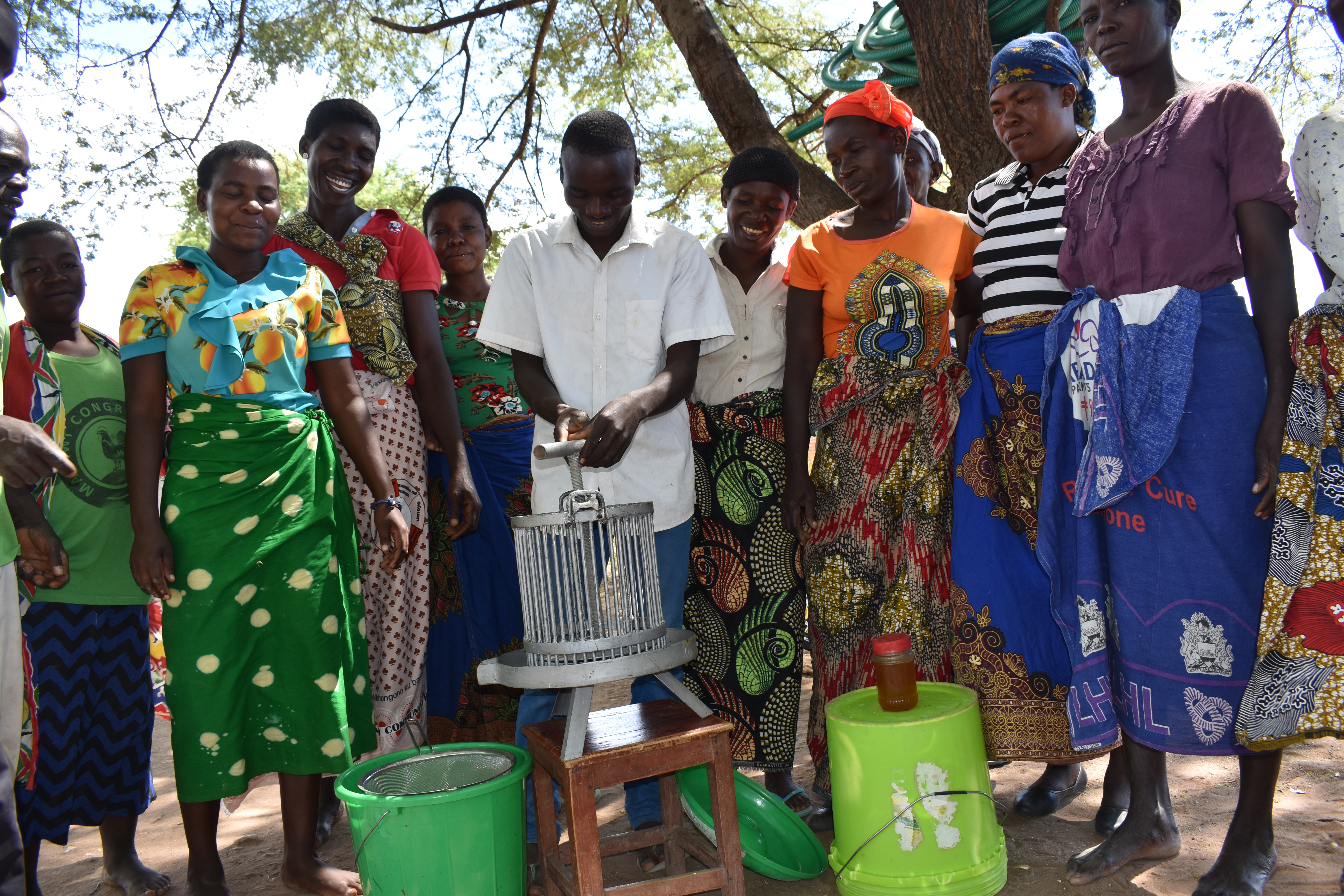 Avec 10 nouvelles ruches, le Dikeni Club a produit 20 litres de miel d'une valeur de 57 000 Kwacha malawites (environ 80 USD).