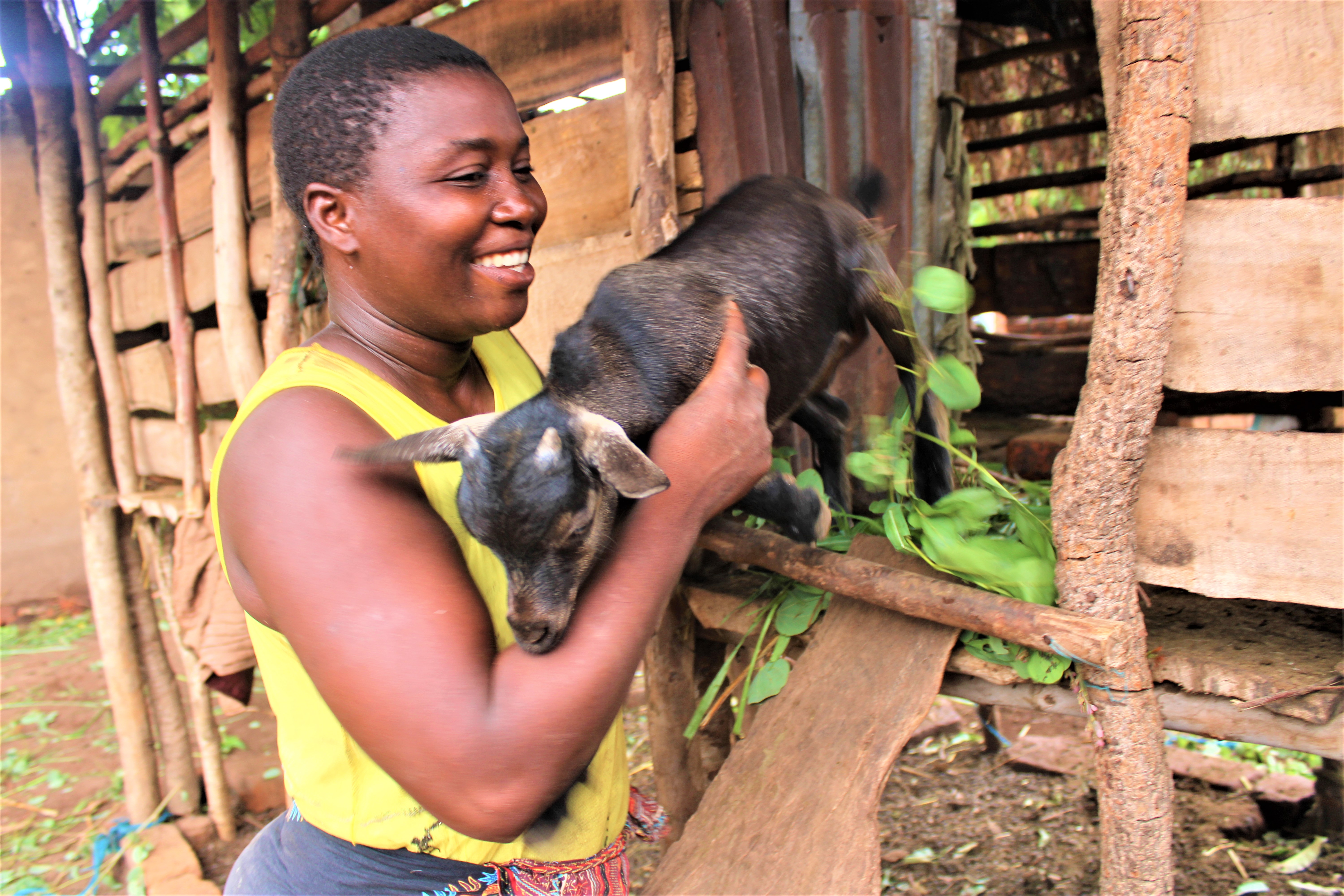 Matilda Kuntaja aide une jeune chèvre à sortir du kraal. Cette chèvre sera transmise à un autre bénéficiaire en août 2022. Crédit : Felix Malamula (PRIDE)